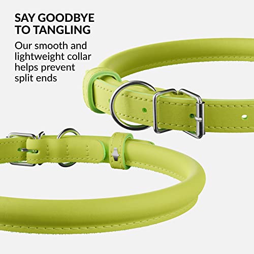 Tangle Free Rolled Leather Dog Collar (Lime Green / XXS)