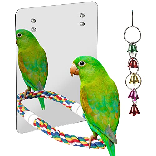 10.6" Bird Mirror with Rope Perch Bird Toys Swing (10.6 inch)