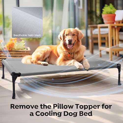 Outdoor Elevated Dog Bed with Waterproof Bolster Cushion (Light Grey / 32.0"L x 25.0"W x 7.0"Th)