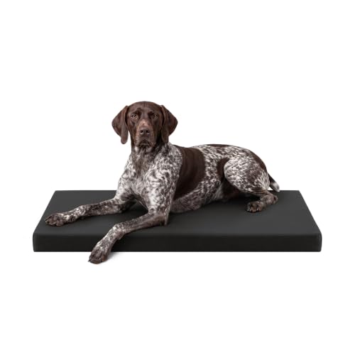 Tough Ripstop Orthopedic Crate Bed (Large (41" L x27" W x 3" H) / Obsidian Black)