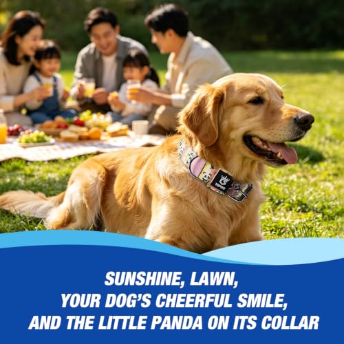 Heavy Duty Thick Dog Collar with Metal Buckle for Medium Dogs (M – Fits Neck 15.8"-18.9" / Cute Panda Print)