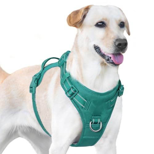 No Pull Dog Harness Front Clip Handle (Marrs Green / S(Neck:15.7-22.0",Chest:17.3-24.8"))