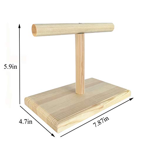 Bird Training Stand