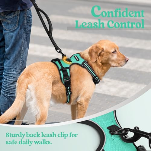 Dog Harness No Pull for Large Dogs with 2 Leash Clips (X-Large / Turquoise)
