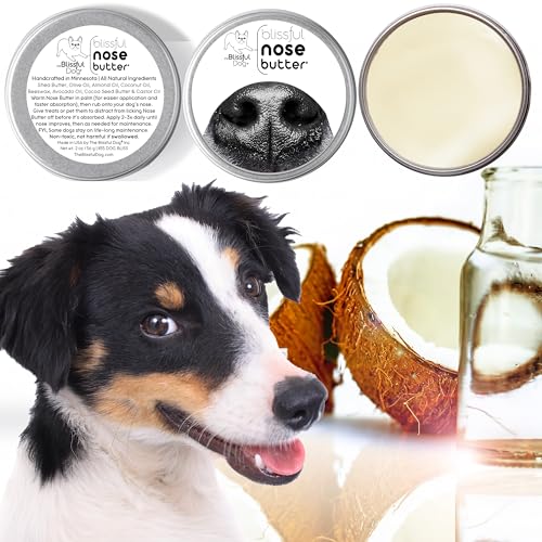 Every Dog Nose Butter (Every Dog / 4 Ounce)