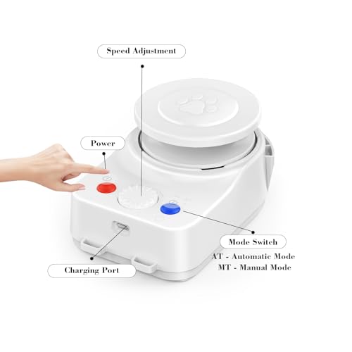 Interactive Cat Toy for Indoor Cat (H1K2)