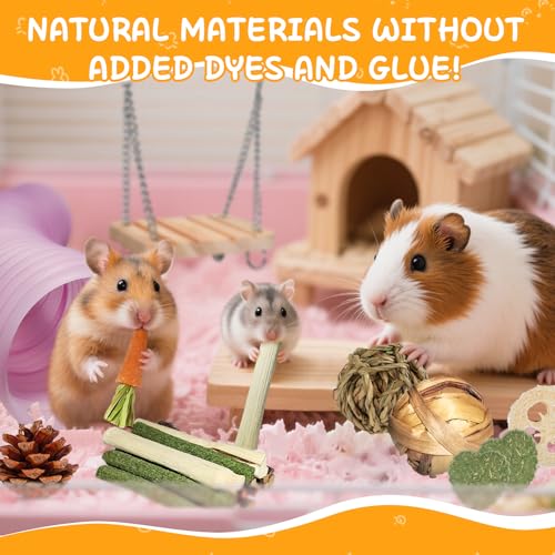 40 PCS Hamster Toys Set (40 PCS)