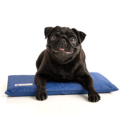 Hydro Cooling Mini Mat for Dogs (Mini)