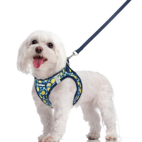 Dog Harness Medium Sized and Leash Set (Navy Lemon / M (chest: 16 - 18.5"))
