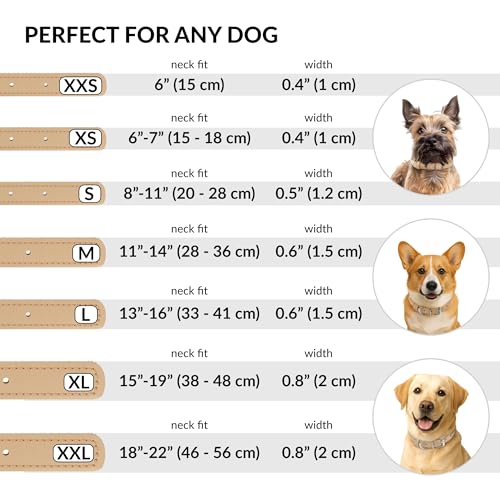 Tangle Free Rolled Leather Dog Collar (Beige / XXS)