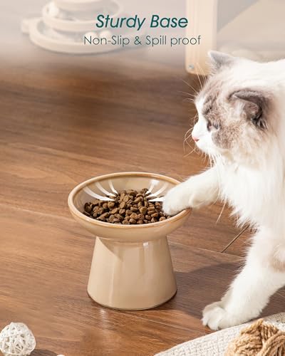 2 Pack Elevated Cat Food Bowls (Brown)
