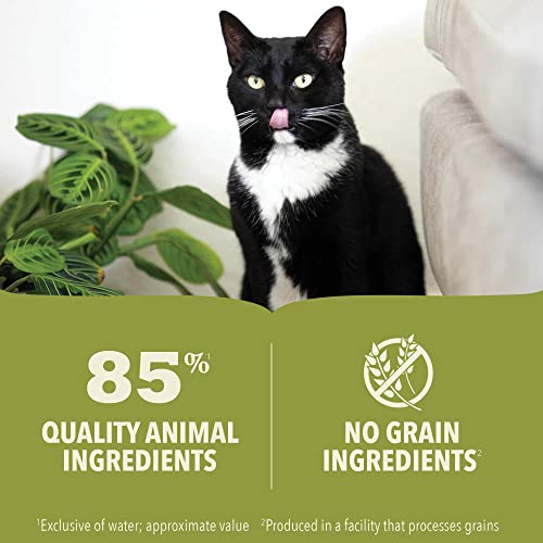 Pate Kitten Wet Cat Food Chicken Tuna Recipe 3oz Cans (3 Ounce (Pack of 24))