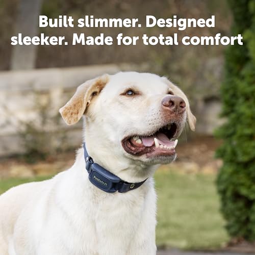 Pro Trainer Add (Extra Collar Only)