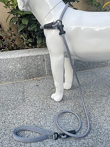 Slip Lead Dog Leash (1/2"×6ft / Grey)