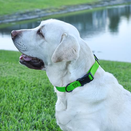 Biothane Waterproof Dog Collar with Quick Release Buckle Strong Coated Nylon Webbing with Odor (1"W by 15-25"L / Tropical Green)