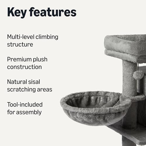 Indoor Cat & Kittens Multi (Medium – 31.1" (78.9cm) H)