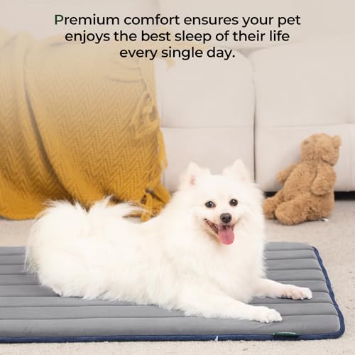 Dog Crate Pad (42.0"L x 28.0"W x 0.8"Th / Dusty Blue, 1 Pack)