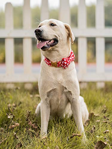 Christmas Dog Collar with Bow (Christmas Tree / Large (Pack of 1))