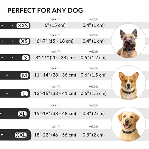 Tangle Free Rolled Leather Dog Collar (Black / S)