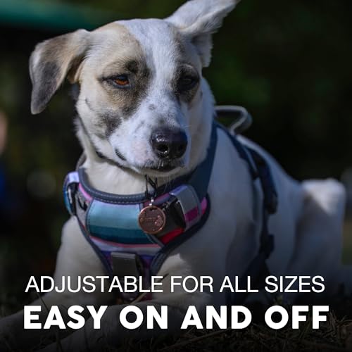 Embark No Pull Dog Harness (L / Baja)