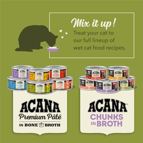 Chunks Wet Cat Food Kitten Recipe 5.5oz Cans (5.5 Ounce (Pack of 6))