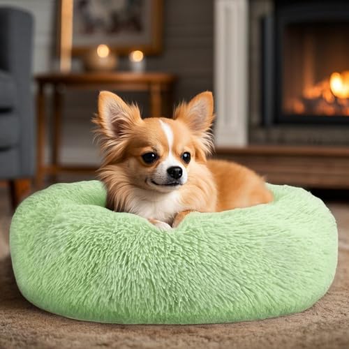 Dogs Bed for Small Dogs (Green / 24.0"L x 24.0"W x 8.0"Th)
