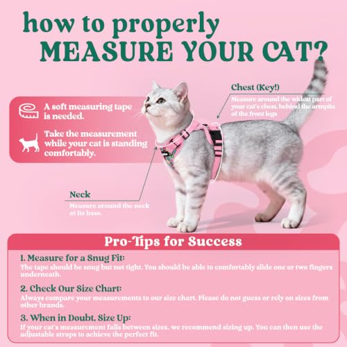 Cat Harness and Leash Set (S / Melon Munch)