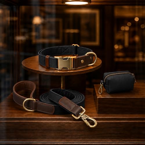 PU Leather Dog Collar for Large Dogs (Black / XL: Neck 20-27", Width 1¼")
