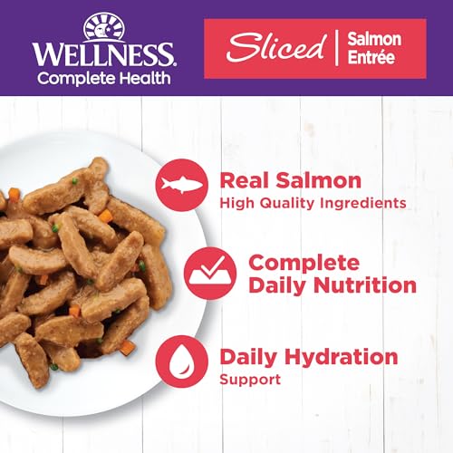 Complete Health Sliced Adult Canned Wet Cat Food (5.5 Ounce (Pack of 24))