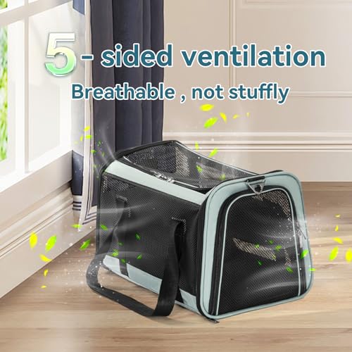 Soft Sided Cat Carrier (18.0"L x 11.0"W x 11.0"H / Z-Cyan blue)