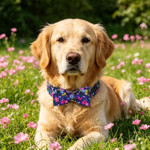 Dog Collar Floral Pattern Pet Collars with Bow Girl (Blossom / Medium (Pack of 1))