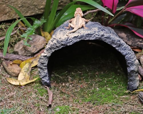 Rock Cave Habitat Hidden for Reptile and Amphibians.Terrarium & Aquarium Decor (Extra Large Size ( Grey ))