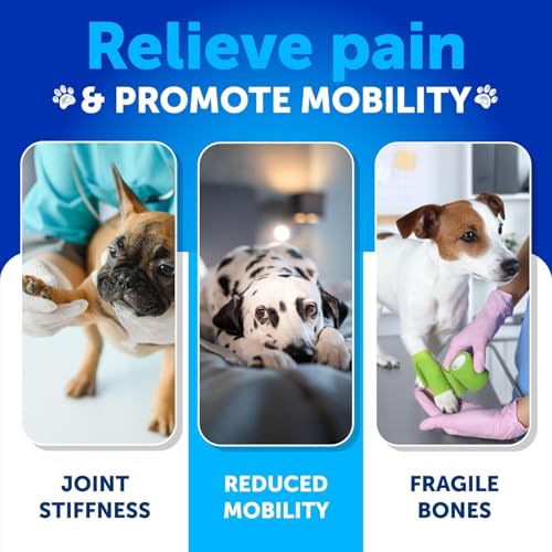 Hip and Joint Supplement Dogs (8 oz)