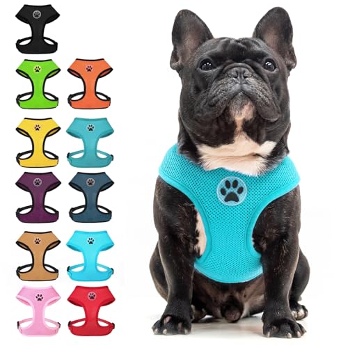 Small Dog Harness (M (NECK: 14", CHEST: 17"-21") / Royal Blue)