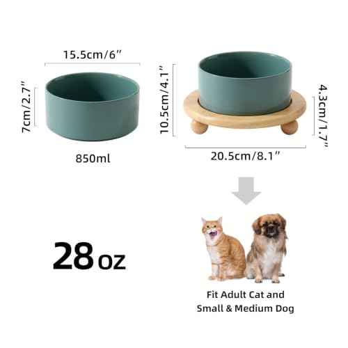 Raised Cat Bowl 6.1” Elevated Ceramic Cat Food and Water Bowl (Dark Green)