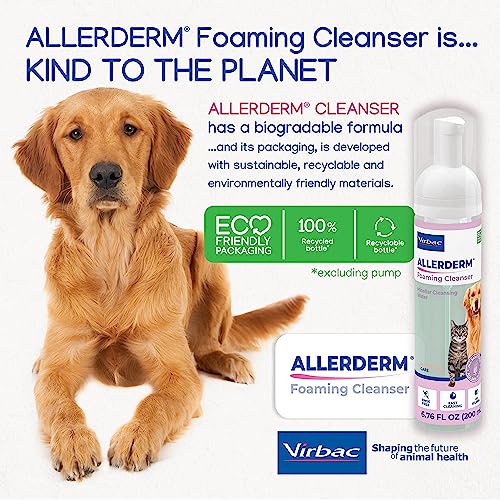 ALLERDERM Foaming Cleanser