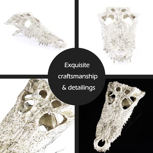 Animal Skull Fish Aquarium Hideout Decorations Cave Dinosaur Reptile Ornament Halloween Décor for Terrarium Large Betta Decor Bones (Crocodiles)