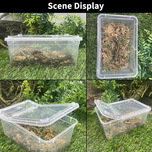 8 PCS Reptile Feeding Box Portable Snake Breeding Box Reptile Transport Container 7.48"x4.92"x2.95" Plastic Pet Houses for Lizard Spider Scorpion Gecko Insect Tortoise Treefrog