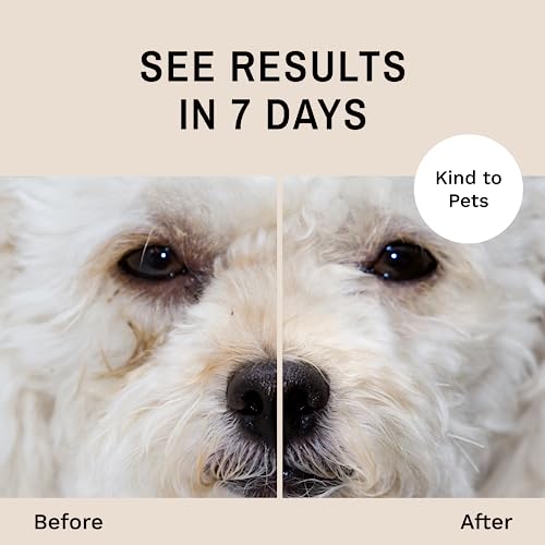 Dog Tear Stain Remover Starter Kit with ProPowder Brush (Large Brush)