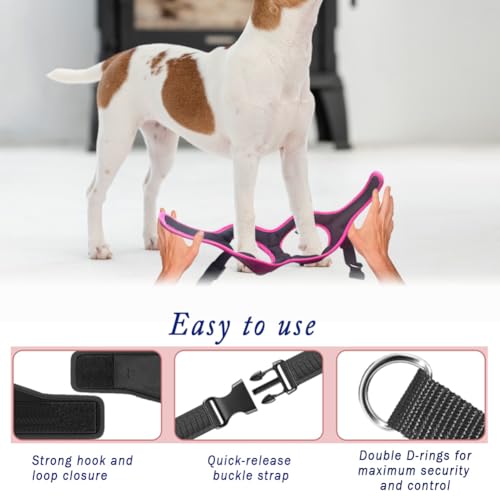 Comfort fit Step (XS (Chest 13"-14.5") / Black)