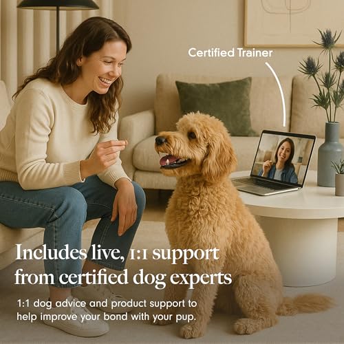 Treat Dispensing Dog Toy