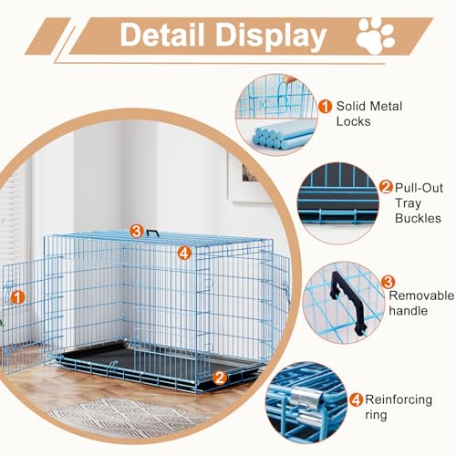 48" Foldable Metal Dog Crate (Blue)