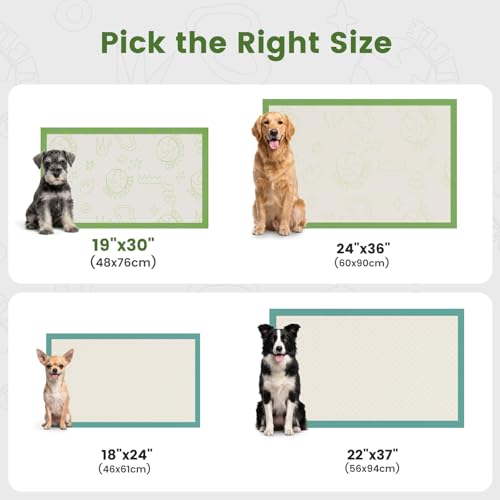 Pee Pads for Dogs 19"X30" with Adhesive 10 Count (19"x30"(10Ct))