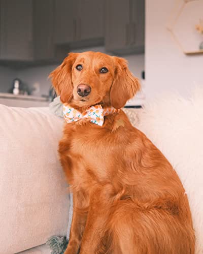 Dog Collar Peach Pattern Pet Collars with Bow Girl (Peach / Large (Pack of 1))
