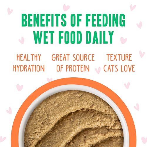 B.F.F. Play Best Feline Friend Paté Lovers (3 Ounce (Pack of 12))