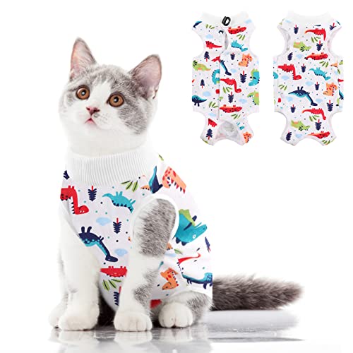 Cat Recovery Suit (Colorful Dino / Medium)