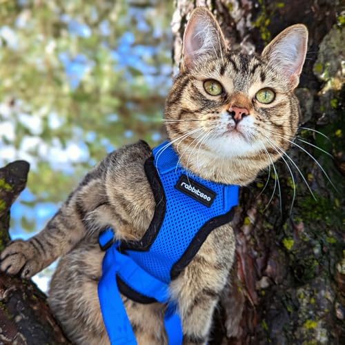 Cat Harness and Leash Set (M / Navy Blue)