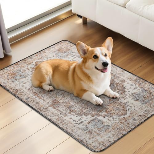 Washable Pee Pads for Dogs 2 Pack (24"x36"(2 Pack) / C Brown)