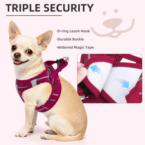 Dog Harness Collar and Leash Set No Pull for Small Medium Sized (Red / XXS (CHEST 11.5"-13"))