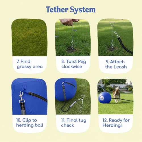 22" Herding Ball for Dogs Tetherball Set Outside (Ocean - 22" Tether Ball / Tether)